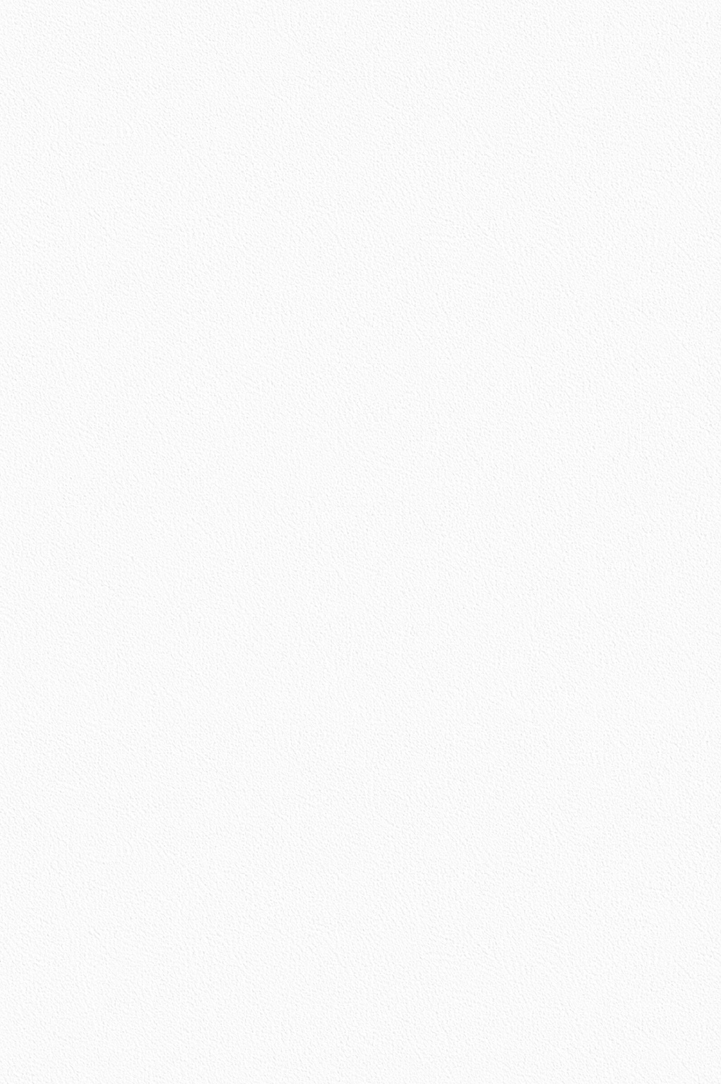 화이트 세이지 적용 예시